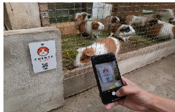 Uso en granja de cuyes